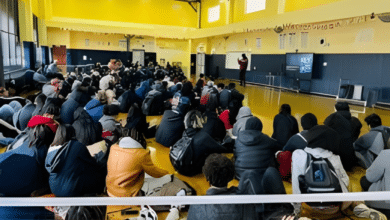 Information Technology High School: Best Career Path Guide